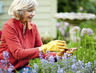 lady gardening